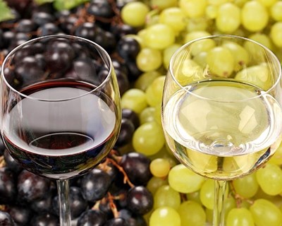Consumo de vinhos cresce em Portugal