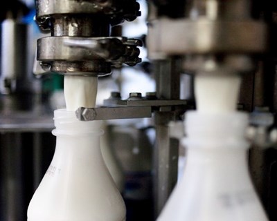 Dez recomendações para equilibrar o mercado lácteo