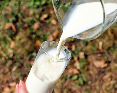 Distribuição gratuita de leite nas escolas começa em setembro