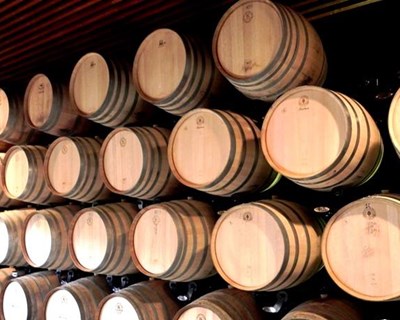 Douro prevê aumento de produção para 266 a 288 mil pipas de vinho