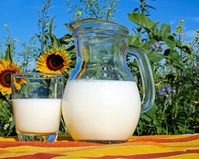 DSF lança cinco novos indicadores sobre a sustentabilidade na fileira do leite