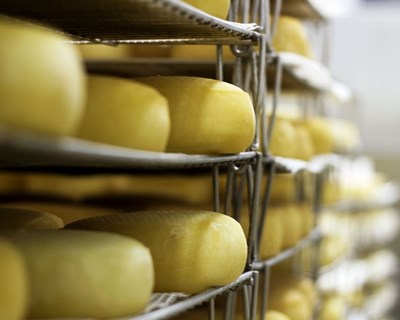 El Corte Inglés reforça a venda online dos queijos tradicionais portugueses