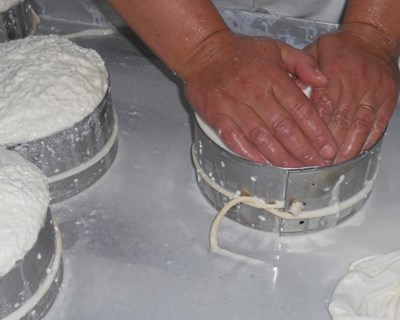 Escola para aprender a fazer queijo abre em Viseu em outubro