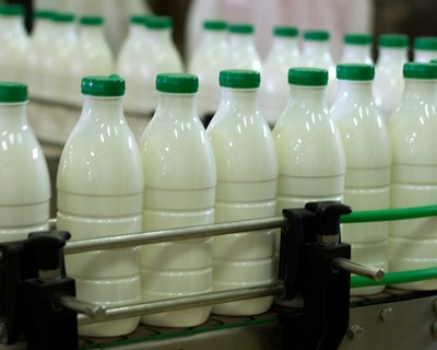 Estudo apresenta recomendações para equilibrar o mercado do leite
