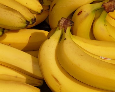 Estudo mostra impacto positivo da PAC na preservação da produção de banana na UE