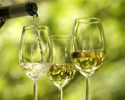 Exportação e internacionalização de vinhos verdes na região do Cávado em debate