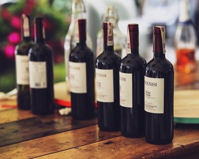 Exportações de vinhos portugueses crescem 13% no primeiro trimestre do ano