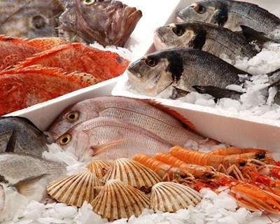 FAO apoia Governo são-tomense a sair do embargo à exportação do pescado imposto pela UE