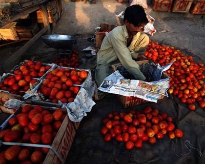 FAO: Segurança Alimentar e Agricultura são as prioridades
