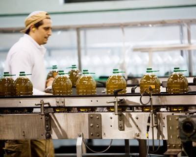 FIPA quer “compromisso nacional” para a indústria agroalimentar