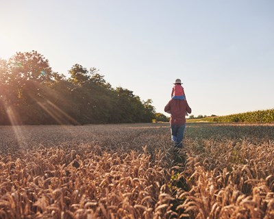 FoodDrinkEurope publica "roteiro para a descarbonização", para apoiar a indústria agroalimentar
