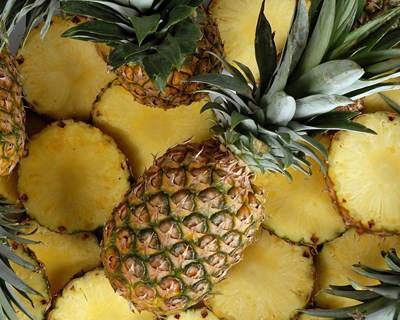 Fruut vai transformar meio milhão de kg de abacaxi em snack