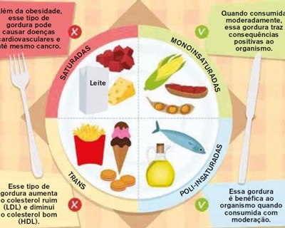 Gorduras alimentares