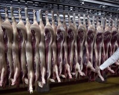 Governo anuncia rotulagem obrigatória na carne e nos lácteos