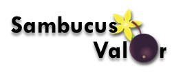 Grupo Operacional SambucusValor: valorização integrada do sabugueiro