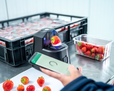 Hitachi Digital Services e OneThird criam solução digital pioneira para combater desperdício alimentar em supermercados