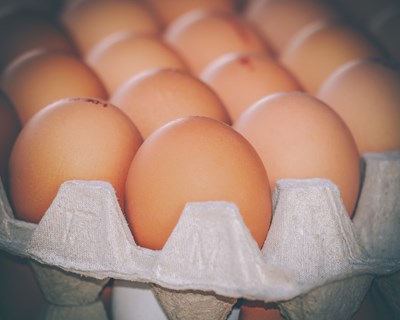 Hoje celebra-se o Dia Mundial do Ovo