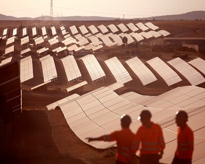 Iberdrola e Danone Espanha unem-se para criar a maior central fotovoltaica da Europa