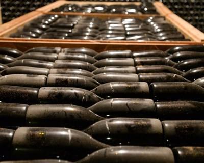 Instaurados 221 processos-crime ao setor vitivinícola na última década