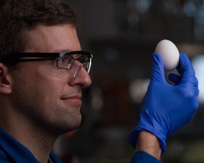 Investigadores criam novos Snacks a partir de proteínas de Ovos