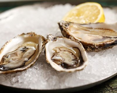 IPS divulga resultados de estudo sobre ostras de aquacultura