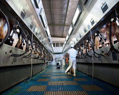 Jerónimo Martins investe cerca de 40 milhões de euros em fábrica de leite em Portalegre