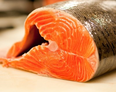JM Agroalimentar estuda produção de salmão em aquacultura
