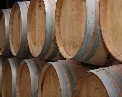 Lançamento de empresa de distribuição de vinhos e destilados - Bebealimentar