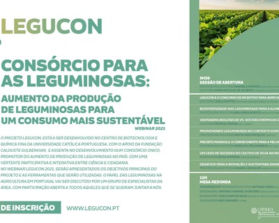 LEGUCON: Consórcio para as Leguminosas promove um consumo mais sustentável