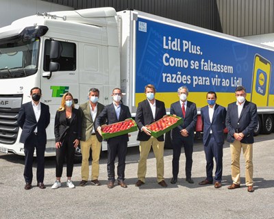 Lidl ajudou a exportar 18,2 mil toneladas de frutas e legumes apoiando 390 produtores nacionais