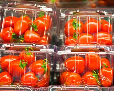 “Loures Inova” debate a redução dos plásticos no ciclo agroalimentar