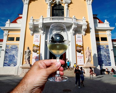 Mais de 10 mil pessoas passaram no Alvarinho Wine Fest
