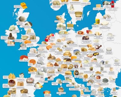 Mapa mostra os melhores queijos do mundo