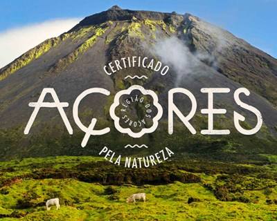 Marca Açores concentra 65 empresas e 1406 produtos
