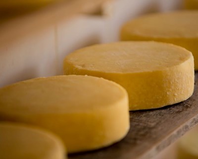 Marcas de queijo faturam quase 500 milhões de euros no retalho