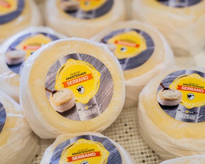 Mercadona reforça aposta nos queijos nacionais