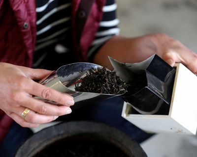 Norte produz chá envelhecido em pipas de Vinho do Porto e já voa para Macau