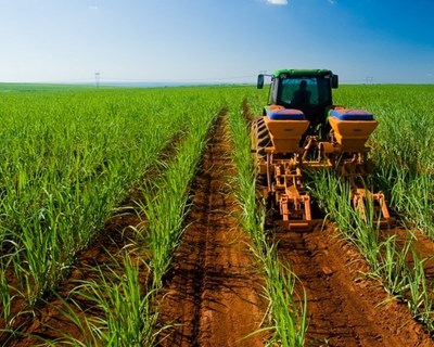 Nova licenciatura em Tecnologia Agroindustrial para responder aos desafios do setor produtivo e da transformação de alimentos