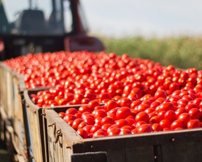 Novo recorde: comércio agroalimentar da UE com 36,5 mil milhões de euros em outubro
