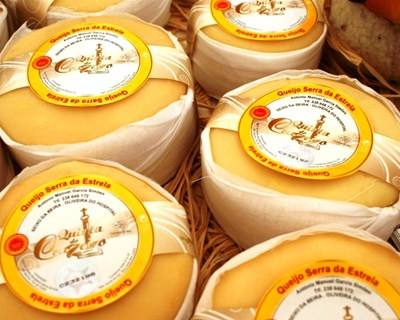 O saber e sabor do queijo serra da Estrela