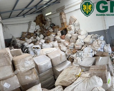 Operação “DELHI TOBACCO” desmantela fábrica ilegal de tabaco em Lisboa