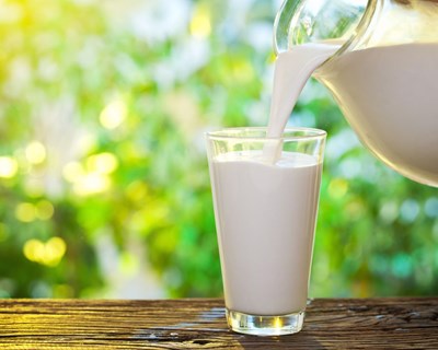Parceria Embrapa e Nestlé desenvolve protocolo para leite neutro em carbono