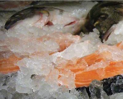Perigos Alimentares no Pescado: os perigos químicos