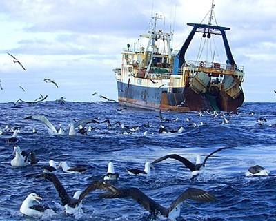 Pescas: discussão sobre quotas só em outubro