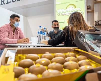Portugal Fresh lança 2º episódio das Fresh Talks e destaca cultura do kiwi