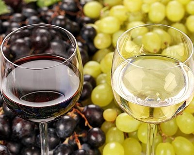 Portugal promove vinhos e produtos alimentares na Alemanha