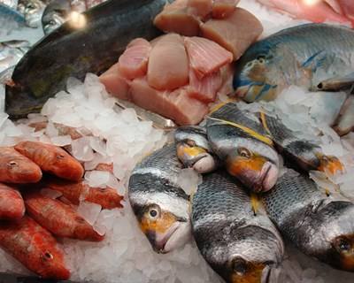 Portugal quer duplicar produção de pescado até 2020