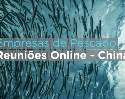 PortugalFoods organiza reuniões internacionais para as empresas de pescado