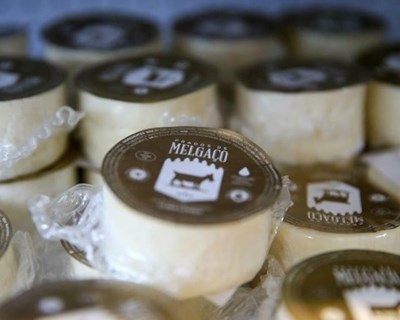 Prados de Melgaco: queijo de animais felizes