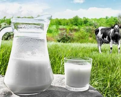 Preço do leite na UE em setembro subiu 27,26 euros por 100 quilos